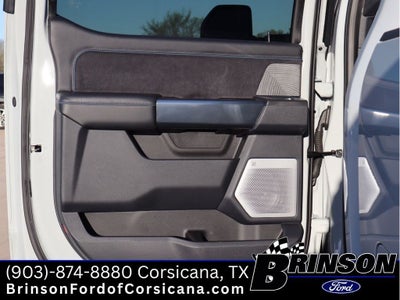 2025 Ford F-250 Platinum