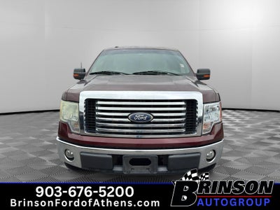2010 Ford F-150 XLT