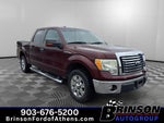 2010 Ford F-150 XLT