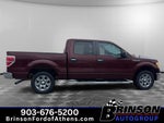 2010 Ford F-150 XLT