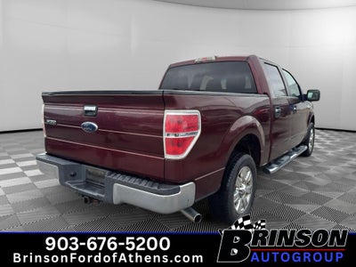 2010 Ford F-150 XLT